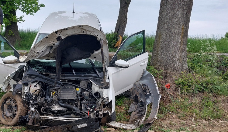 Řidička se nevěnovala řízení, po nárazu do stromu zničila svojí Škodu Fabia. Foto: Se svolením Policie ČR