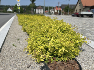 Obec Cejle, která získala ve Vesnici roku Zelenou stuhu, foto: Lenka Dvořáková