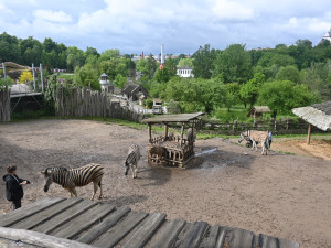 FOTO: Vstup za korunu, nebo komentovaná krmení zvířat. Prázdniny lákají do zoo