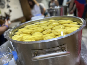 VIDEO: Bez závad. Hygienici z Vysočiny zahájili kontrolní kolečko po táborech