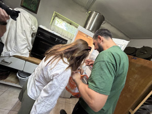 VIDEO: Bez závad. Hygienici z Vysočiny zahájili kontrolní kolečko po táborech