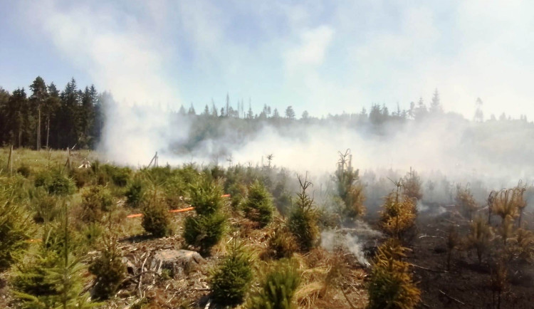 Požár lesa v Batelově. Hasilo pět jednotek, byl vyhlášený druhý stupeň poplachu