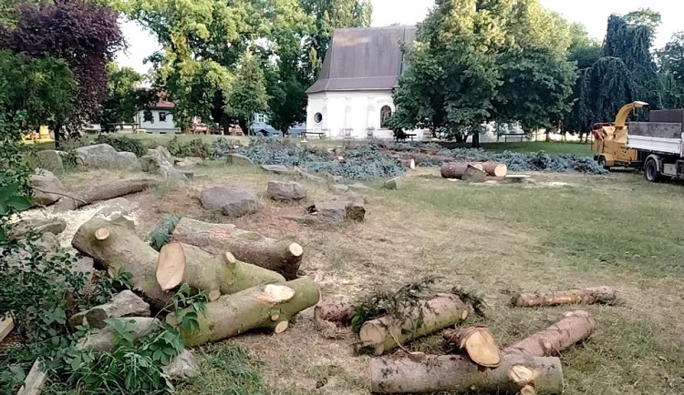 Ze Smetanových sadů zmizely jehličnany, Jihlavany rozsah kácení šokoval
