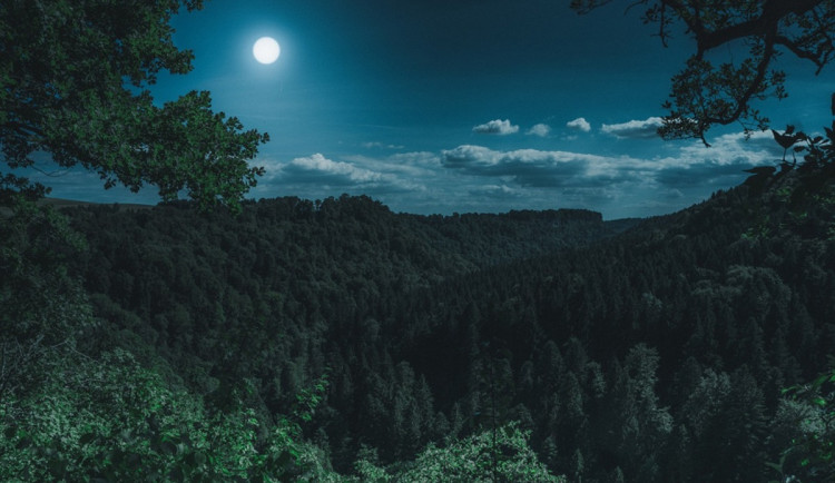 Ilustrační foto. Foto: pixabay.com