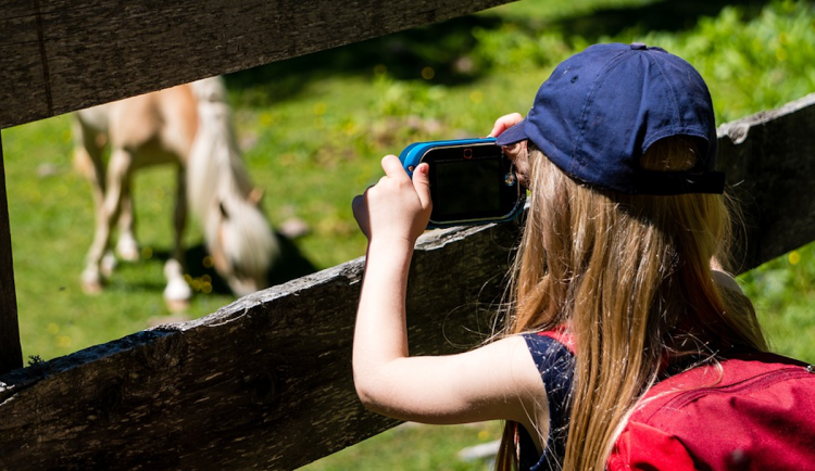 Nevyhovující voda i hromadné onemocnění. Hygienici zkontrolovali desítky táborů