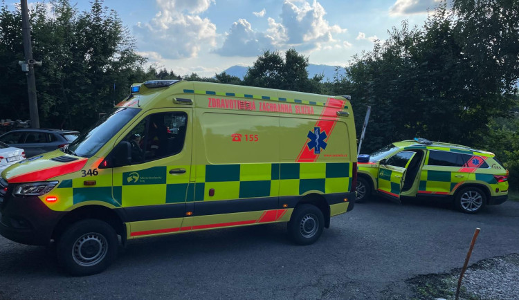 Záchranáři pomohli muži, který měl po bodnutí sršněm do hlavy alergickou reakci