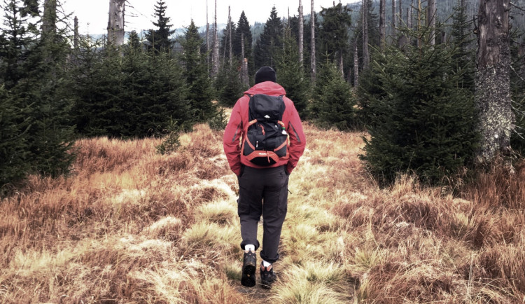 Turistická trasa na tajemný šumavský Modrý sloup by se mohla otevřít ještě letos