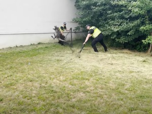 VIDEO: Klokana odchytili v ulicích Třebíče. Z jihlavského útulku už je zpět doma
