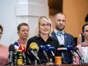 Poslankyně Ochodnická už nebude kandidovat. Zvažuji vstup do aktivních záloh, říká