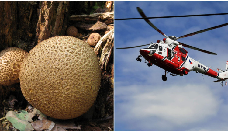 Chlapce na táboře zaujala houba a ochutnal ji, nakonec pro něj letěl vrtulník