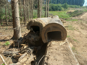 FOTO: Jihlavská radnice ukázala historicky cenné potrubí z pístovských rybníků