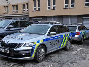 Ženy se popraly kvůli sražení psa a krádeži dřeva. Policie hledá svědky napadení