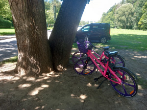 Parkování v Jihlavě XV: U letního kina se platilo, nyní je tam až 24 hodin zdarma