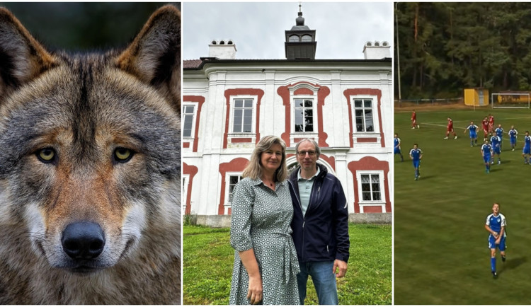 SRPEN 2025: Kauza šumavských vlků, snaha nadšenců o opravu zámku i fotbalový bizár