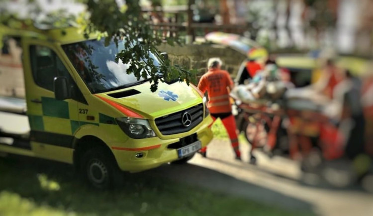 Senior prodělal mrtvici a spadl z břehu přímo do řeky Radbuzy