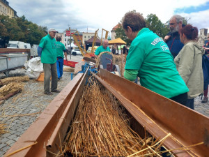 VIDEO: Dožínky nabízí historickou zemědělskou techniku v chodu, mrkvance i slepice