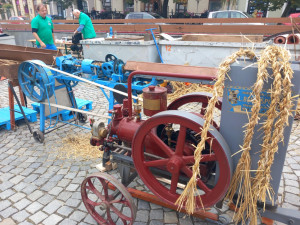 VIDEO: Dožínky nabízí historickou zemědělskou techniku v chodu, mrkvance i slepice