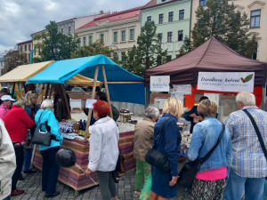 VIDEO: Dožínky nabízí historickou zemědělskou techniku v chodu, mrkvance i slepice