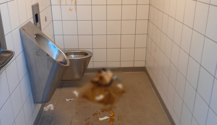 Nepochopitelný čin vandalů, exkrementy rozmazali po stěnách i podlaze