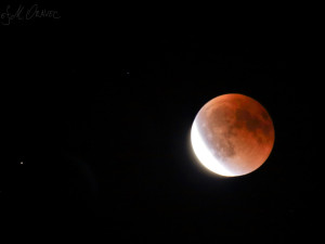 FOTO: Výjimečná událost. Zatmění měsíce v noci na dnešek fotili i lidé na Vysočině