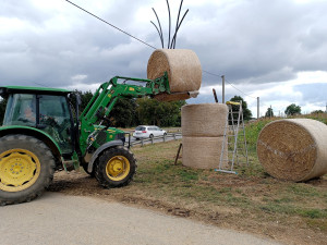 ANKETA: Slamáci po jednadvacáté. Jakubov letos hlídá Rákosníček a dvě žabky