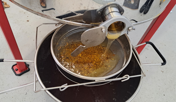 Pražský dopravní podnik zdvojnásobil produkci medu z městských včelstev ve Vokovicích