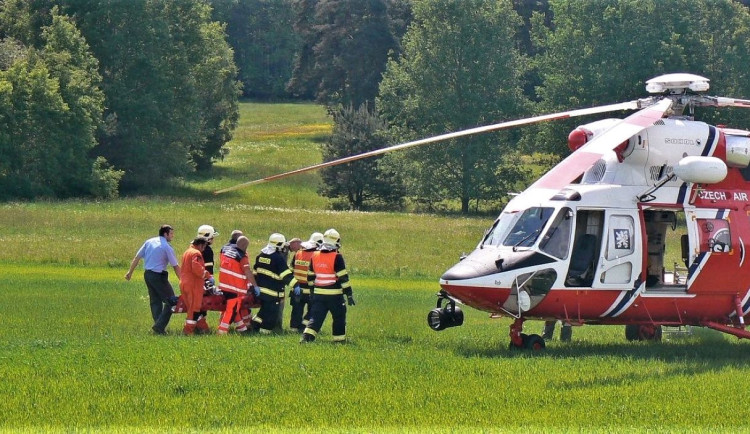 Agresivní býk na poli napadl staršího muže a způsobil mu vážné zranění