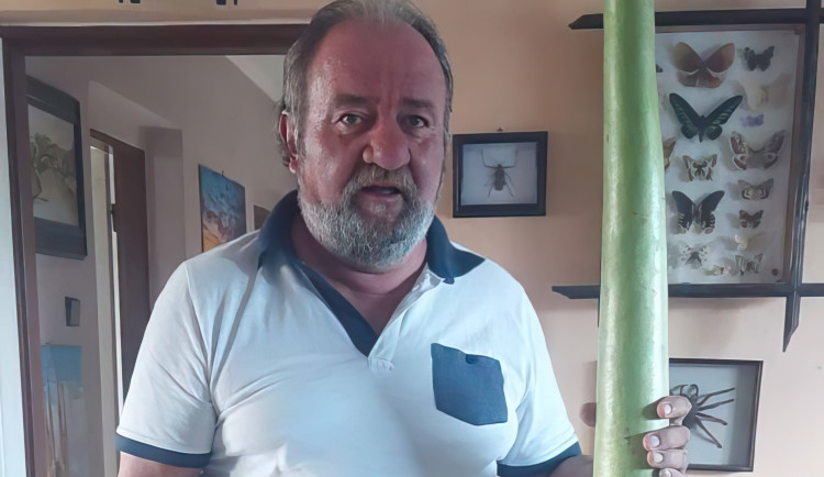 Český senior se ztratil v Albánii, jeho rodině pomáhá s hledáním místní taxikář