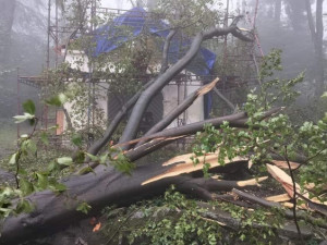 Povodně 2024 na Vysočině: Evakuace 59 lidí, pes v řece, u zoo se rozběhlo kolo