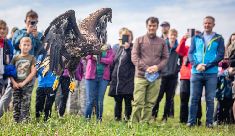 Pracovníci pavlovské záchranné stanice vypustili do přírody orla. Vybavili ho vysílačkou