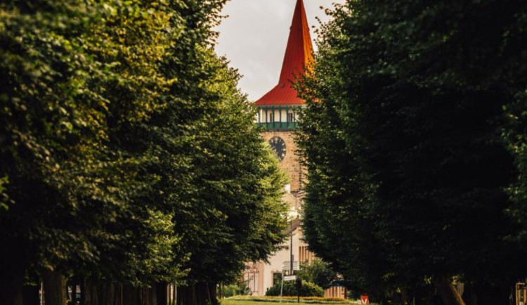 Jičín vykácí 40 stromů z lipové aleje. Podle radnice jsou nebezpečné