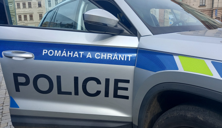 Muž chtěl po ženě v Jihlavě telefon. Když odmítla, pokusil se jí ukrást psa