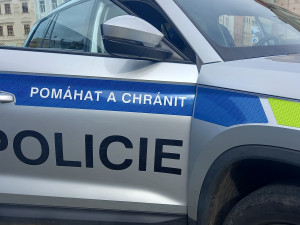Muž chtěl po ženě v Jihlavě telefon. Když odmítla, pokusil se jí ukrást psa