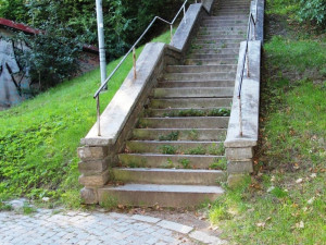 Muž v Jihlavě přepadl dvě seniorky. Jednu vzal takzvaně do kravaty, druhé odvedl psa