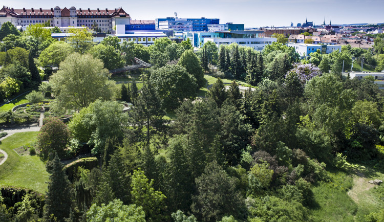 Botanickou zahradu trápí sucho. Brněnská univerzita chystá vlastní vrt