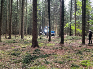 VIDEO: Takto pracuje harvestor na Jihlavsku. Jeden strom zpracuje asi za minutu