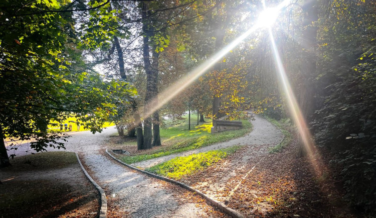 Hradečané, dnes máte poslední šanci podpořit své favority v rámci participativního rozpočtu