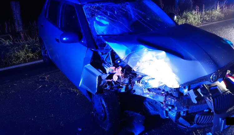 Řidiče u Horní Cerekve zastavil dvě hodiny po půlnoci strom. Měl téměř tři promile. Foto: Se svolením Policie ČR