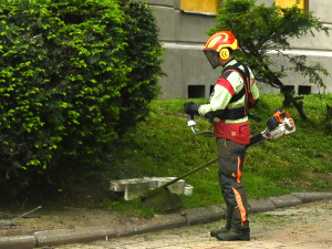 Tráva v Jihlavě se seče v 10 oblastech. Soukromí majitelé mohou dostat pokutu