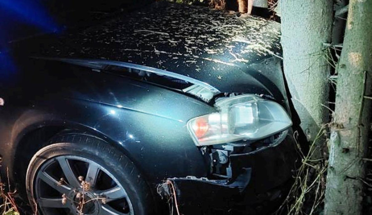 Honička jak v americkém filmu. Řidič převážel drogy, do roku 2027 je v podmínce