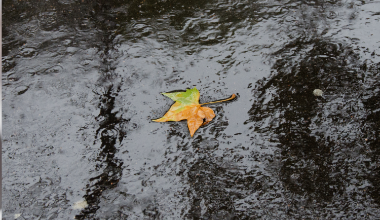 Během víkendu bude přes noc mrznout. Čeká nás podzimní počasí jako z učebnice