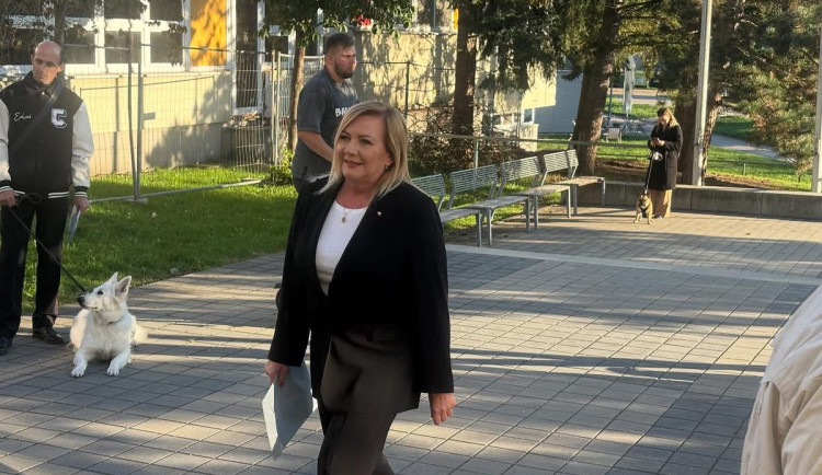 Jihomoravané poslali do Sněmovny 24 zástupců. Nejvíce křesel získalo ANO