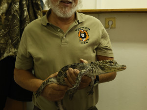 U aligátorů čínských v Jihlavě odborníci prověří příbuznost s chovy v Evropě