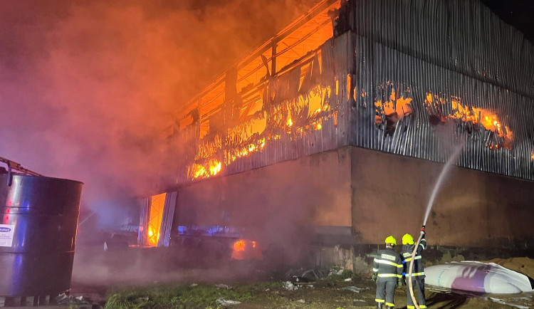 WhatsApp Image 2025-10-24 at 08.16.47