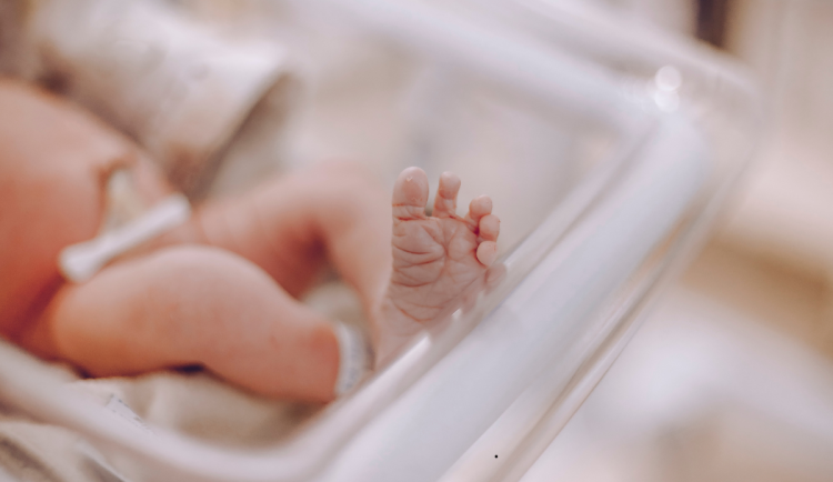 V Rychnově nad Kněžnou končí porodnice. Nejbližší je 30 kilometrů daleko