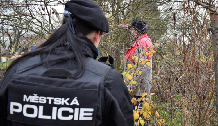 Strážníci vyrážejí do chatových oblastí na koních i se psy. Chtějí zabránit vloupáním