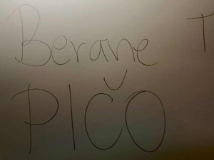 FOTO: Smutná dohra derby v Jihlavě. Fanoušci Třebíče zničili záchody v Horácké aréně. Foto: Se svolením Davida Beke