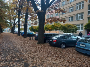 Parkování v Jihlavě XX: U Štefánikova náměstí se měnila pravidla