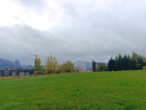 Dušejovem se týden po požáru ještě může nést kouř. Hasiči mají vše pod kontrolou