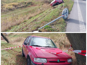 V Hosově boural dvaaosmdesátiletý řidič. Byl nepozorný, narazil do značky a stromu